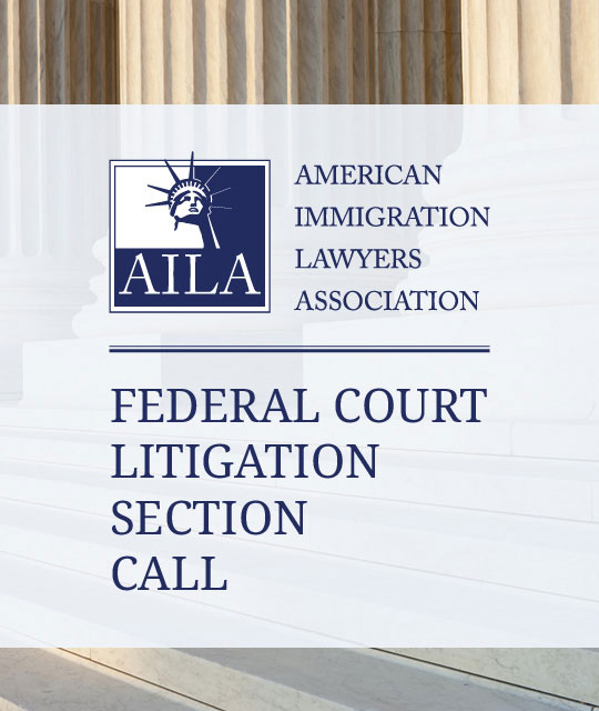Federal Court Litigation Section Quarterly Call (May 2024)