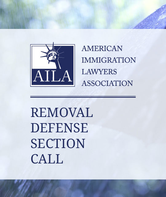 Removal Defense Section Quarterly Call (January 2026)