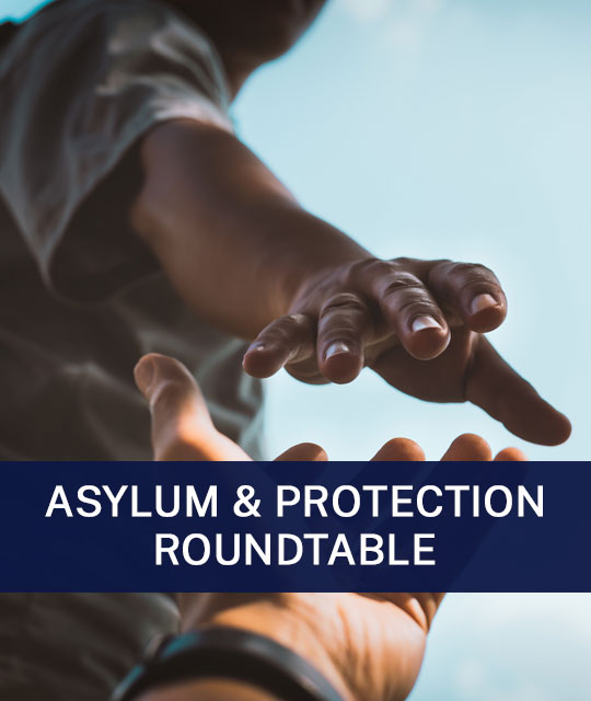 Immigration Courts: Understanding Trends and Utilizing Tools for Pro-Bono Asylum Cases