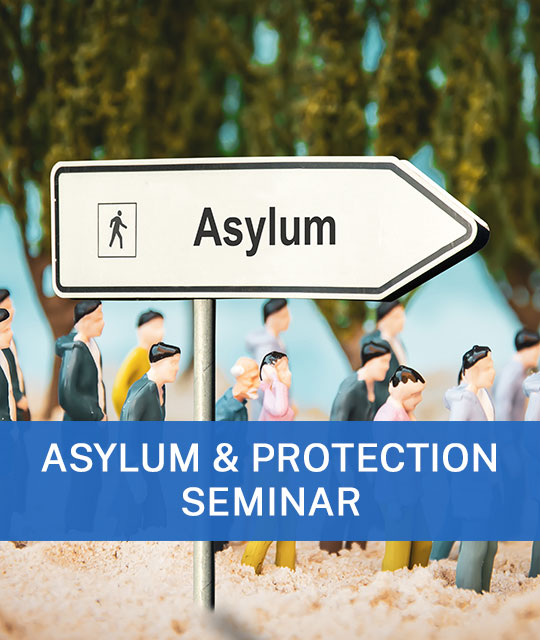 Litigating Asylum Cases in Federal Court: Practical Insights and Critical Components