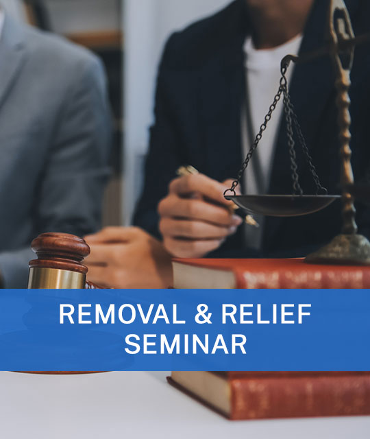 Challenges with Immigration Courts: Tips from the Experts