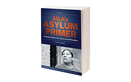 Asylum Primer - Essential Asylum Resource - Print and eBook
